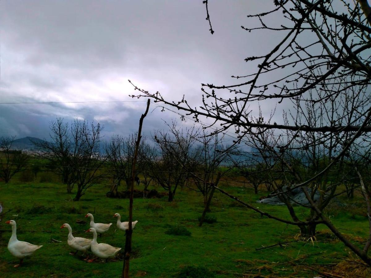 Ferme D'Hote La Vallee Azru Kültér fotó