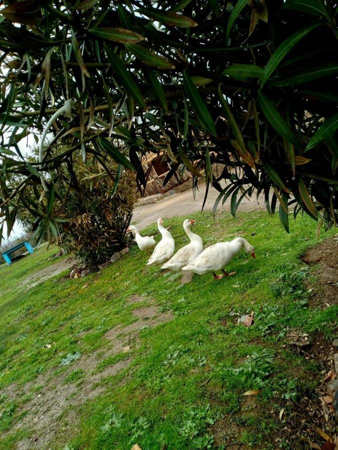 Ferme D'Hote La Vallee Azru Kültér fotó