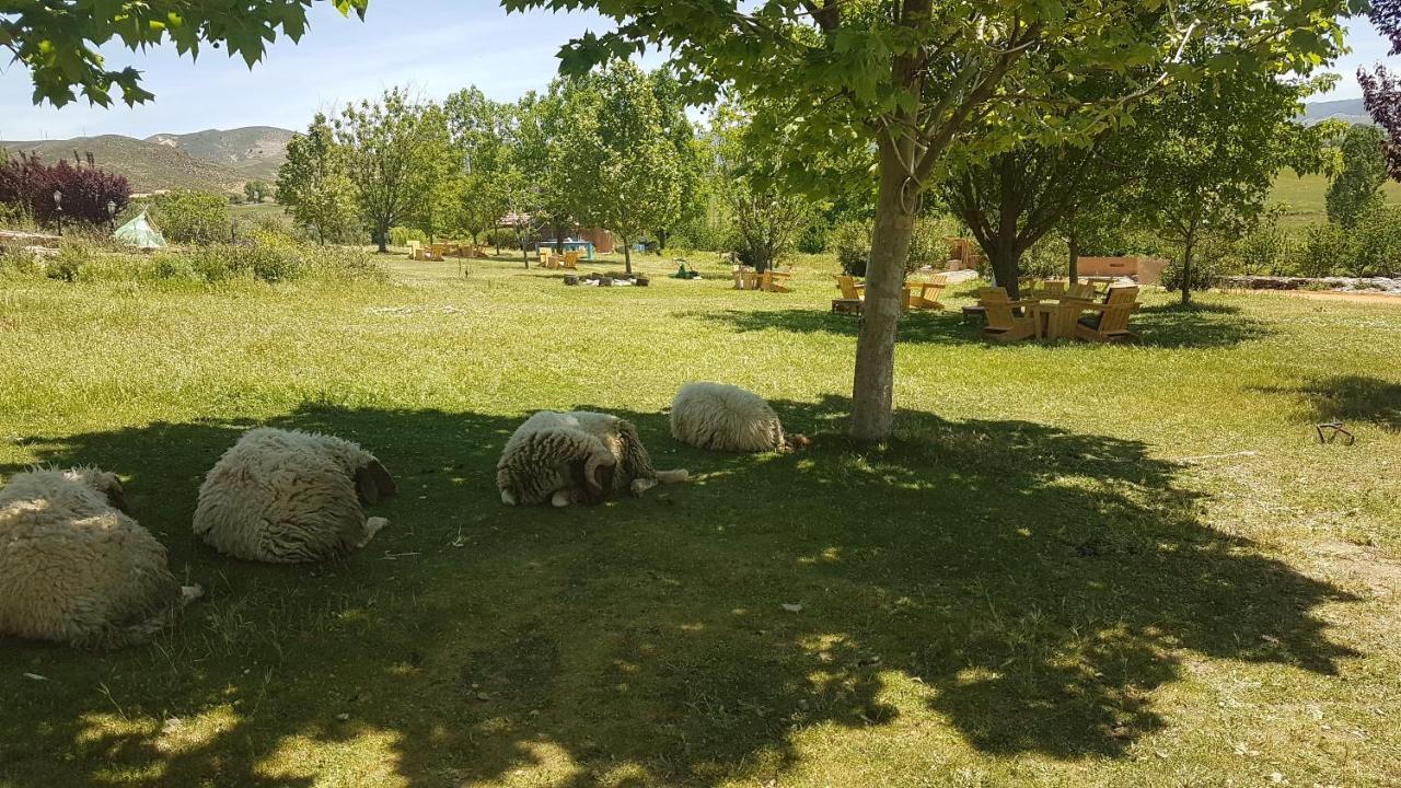 Ferme D'Hote La Vallee Azru Kültér fotó